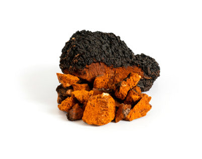 CHAGA